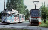 960803Gorzow 010