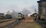 Midzyrzecz, Midzychd, Czempi 1991