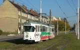 051101Gorzow 001
