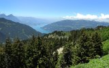 0389 170617Schynige Platte-115