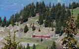 0420 SPB100522SchynigePlatte 043