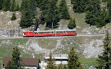 0430 SPB100522SchynigePlatte 030