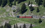 0432 170617Schynige Platte-122