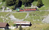 0500 SPB120811SchynigePlatte 103