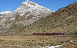 Das Val dArlas mit dem planmssigen Zug St. Moritz-Tirano.