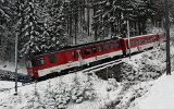 0510 ZB LSE101127Gruenenwald 003